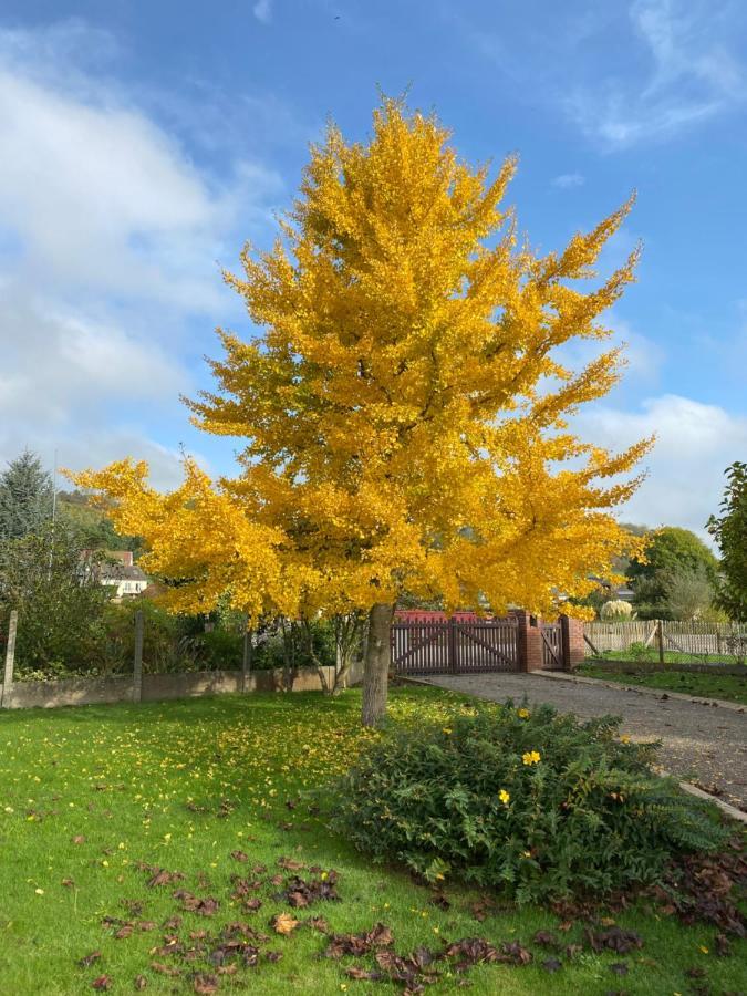 La Pommeraie 76 Saint-Ouen-sous-Bailly Exteriér fotografie
